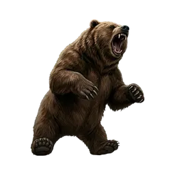 الدب