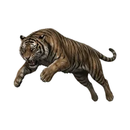 النمر